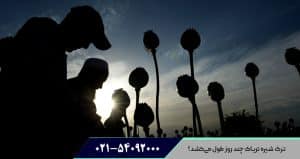 ترک شیره چند روز طول می کشد